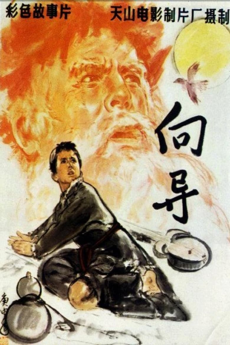 Poster of 向导