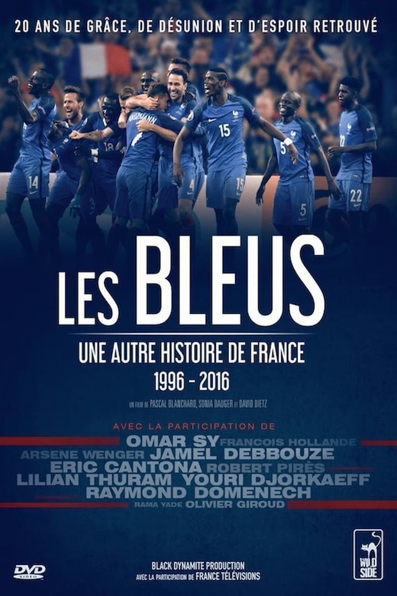 Poster of The Blues: Another Story of France