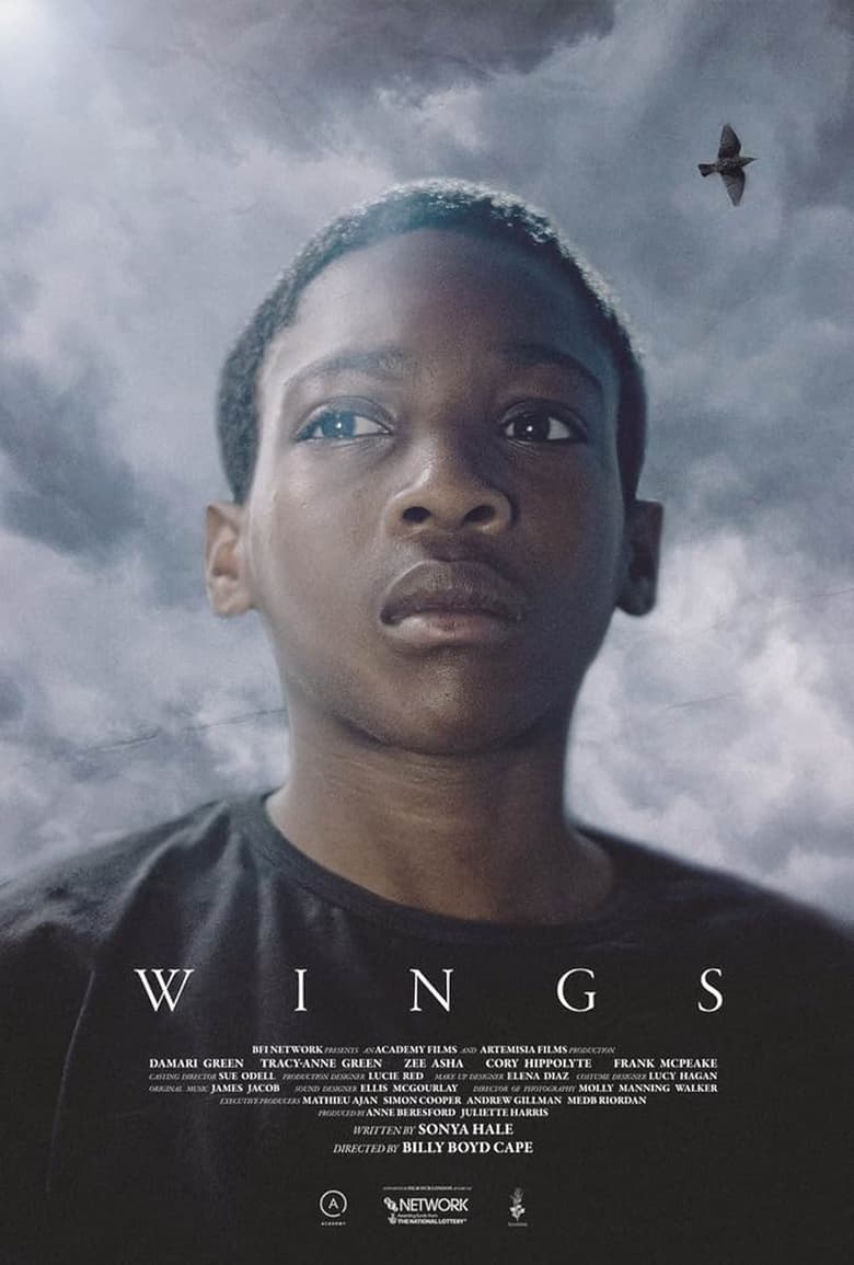 Poster of Wings