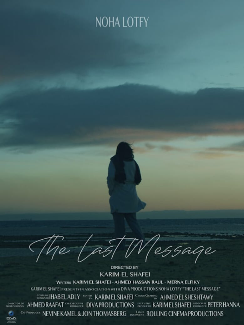 Poster of The Last Message