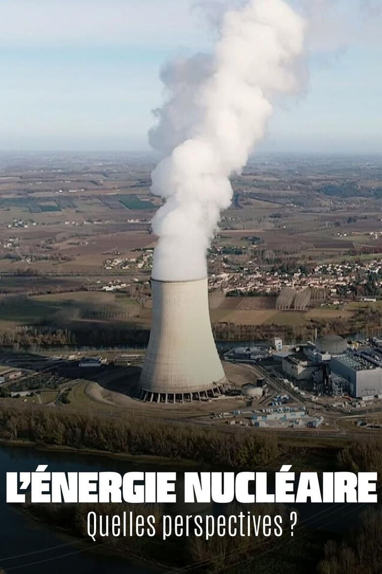 Poster of The Future of Nuclear Energy