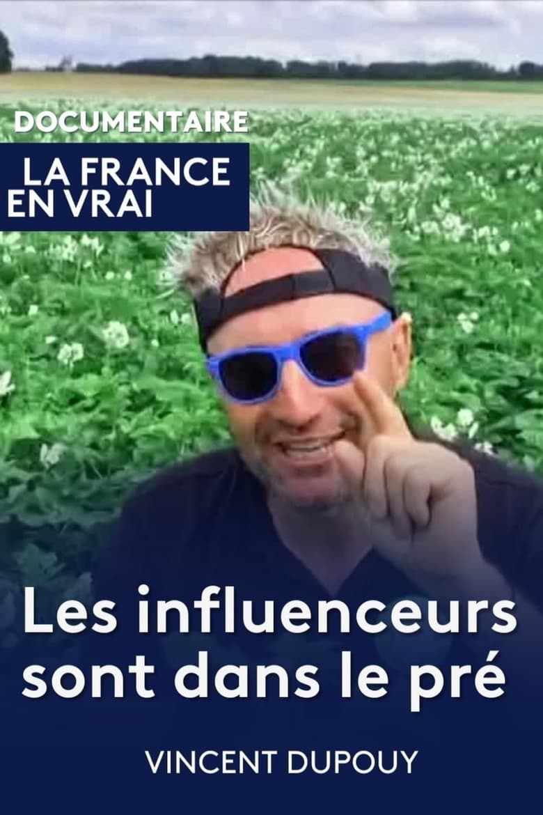 Poster of Les influenceurs sont dans le pré