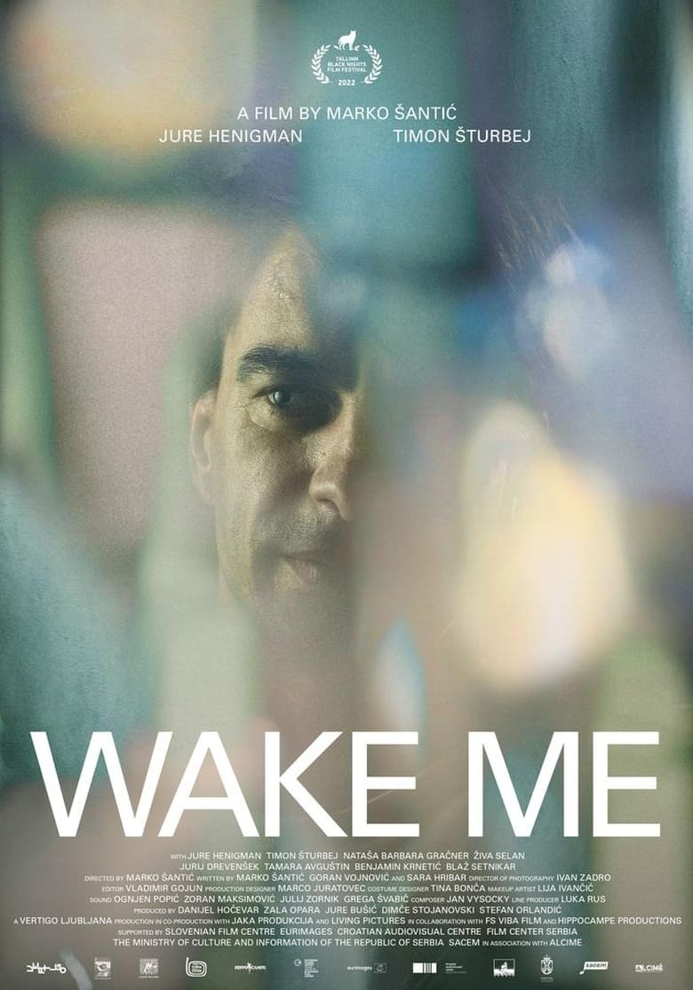 Poster of Wake Me