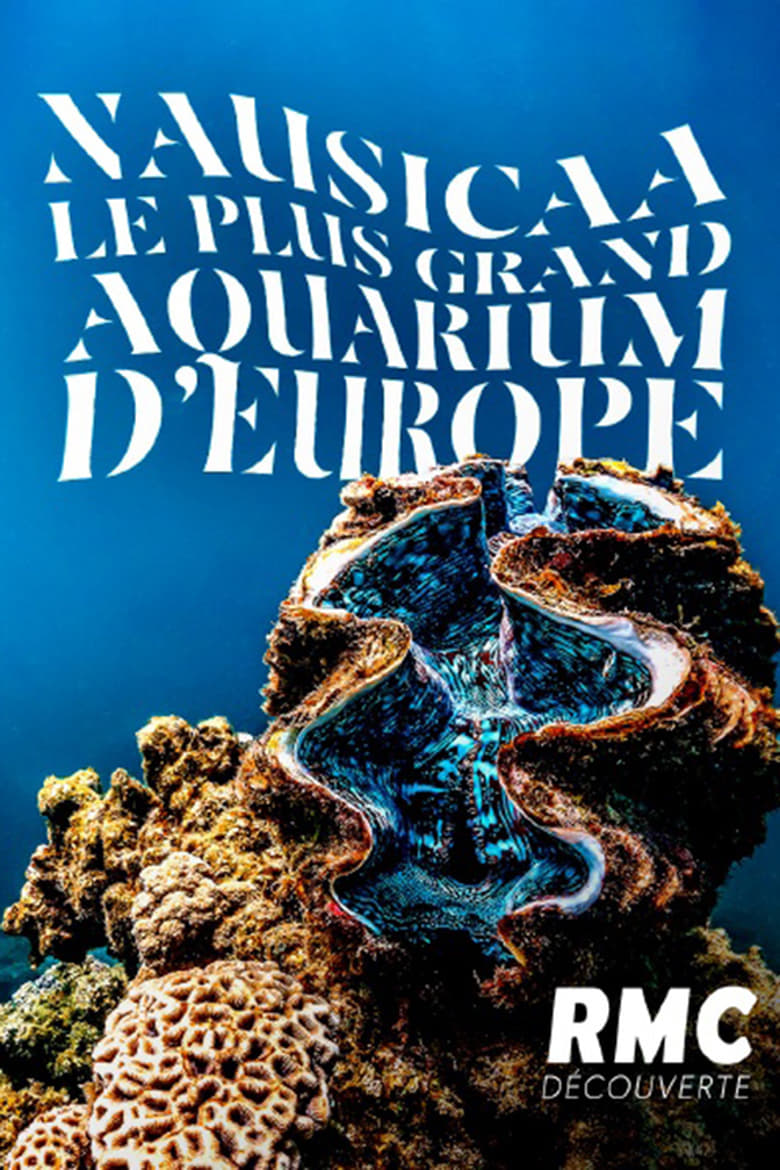 Poster of Nausicaa: The Largest Aquarium in Europe