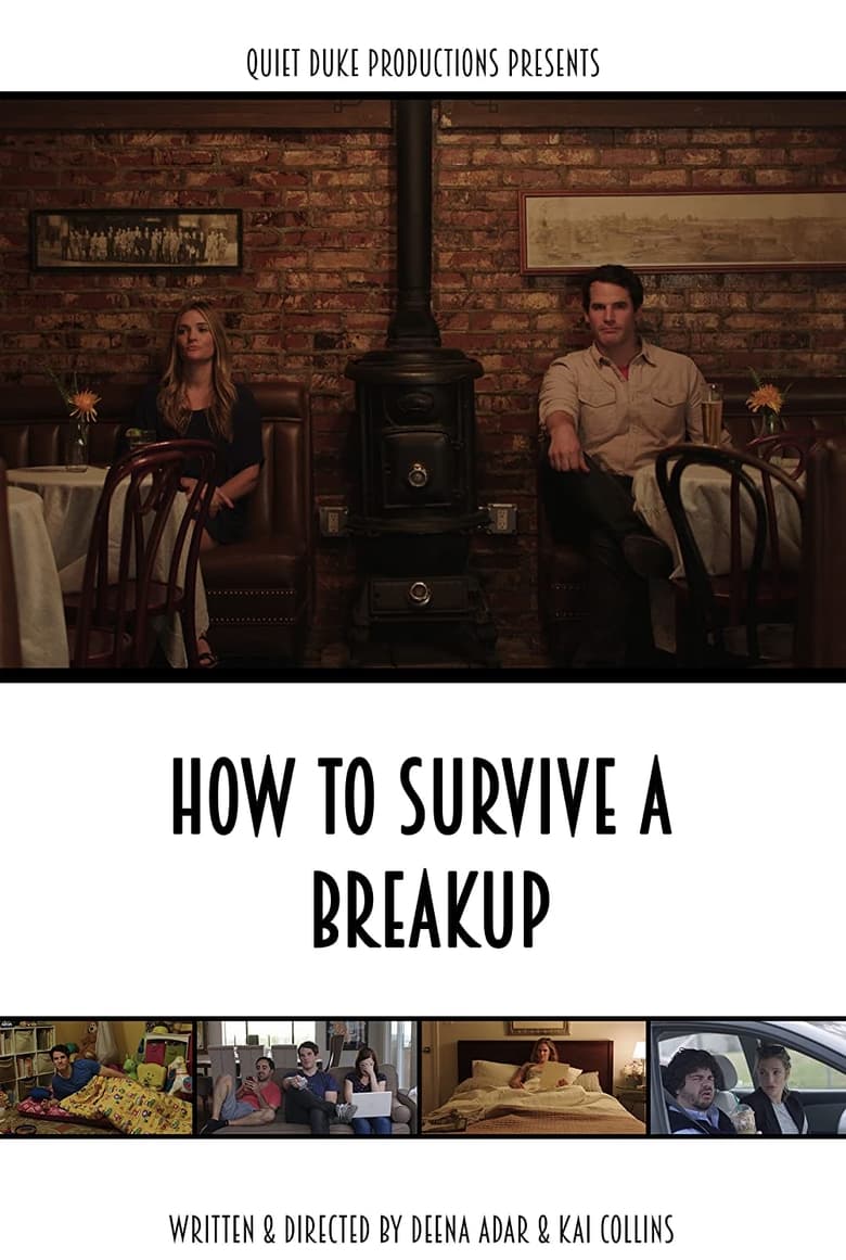 Poster of How to Survive a Breakup