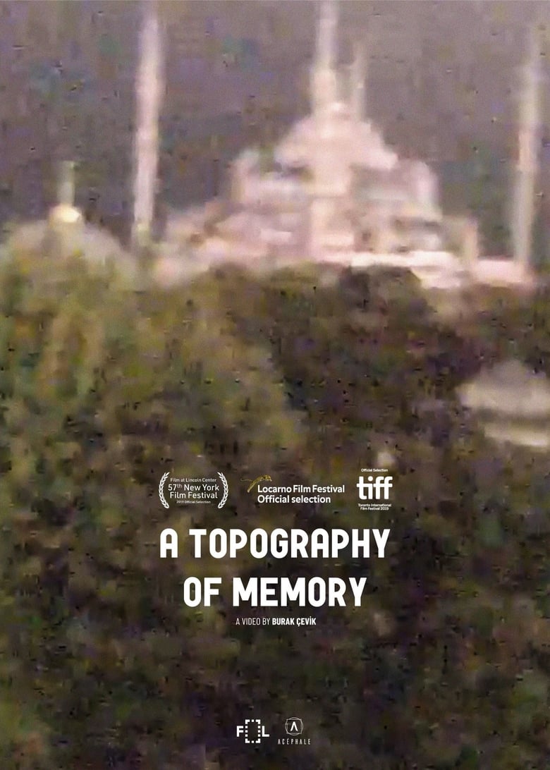 Poster of A Topography of Memory