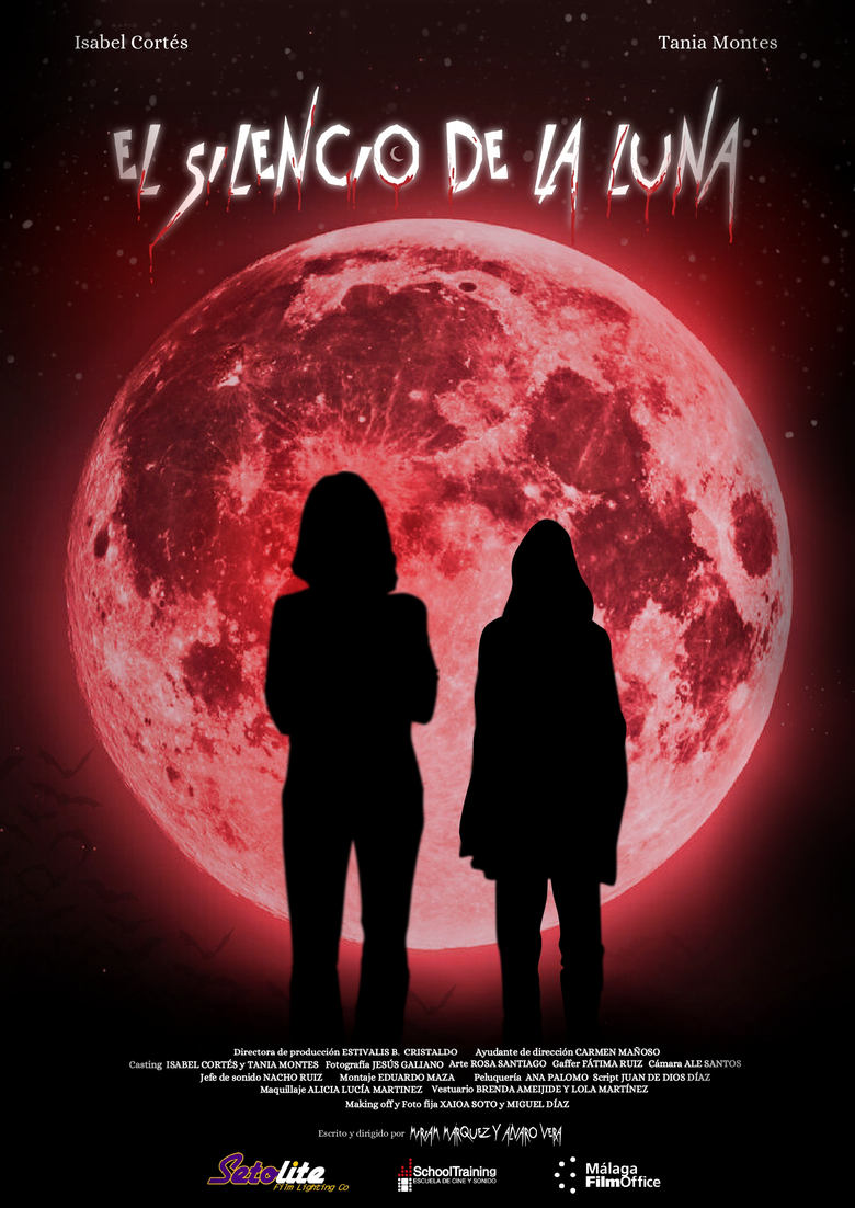 Poster of El silencio de la luna