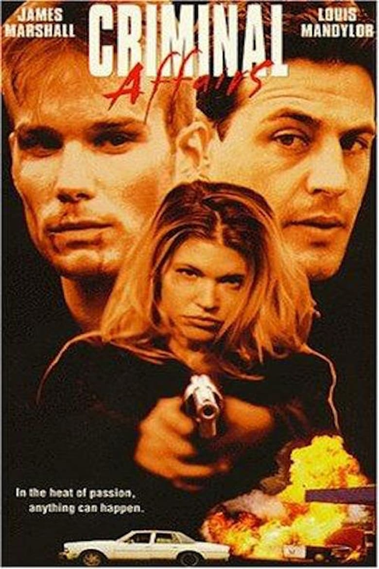 Poster of Criminal Affairs