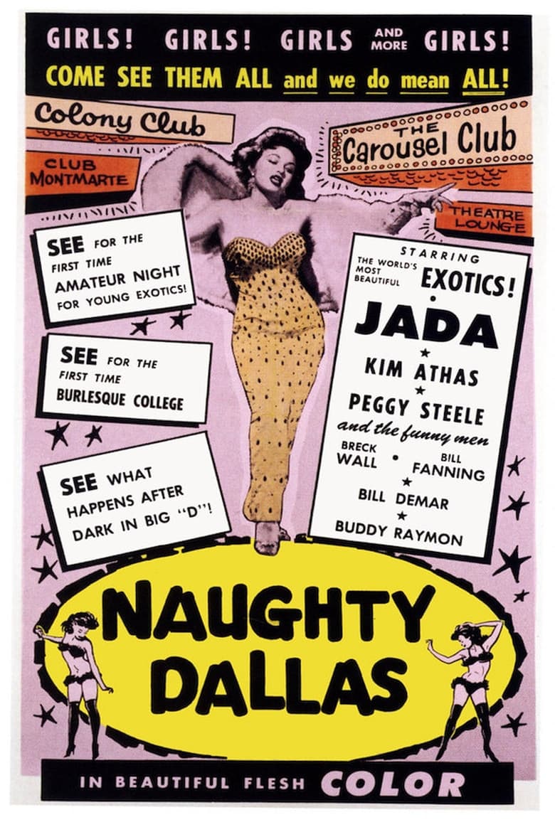 Poster of Naughty Dallas