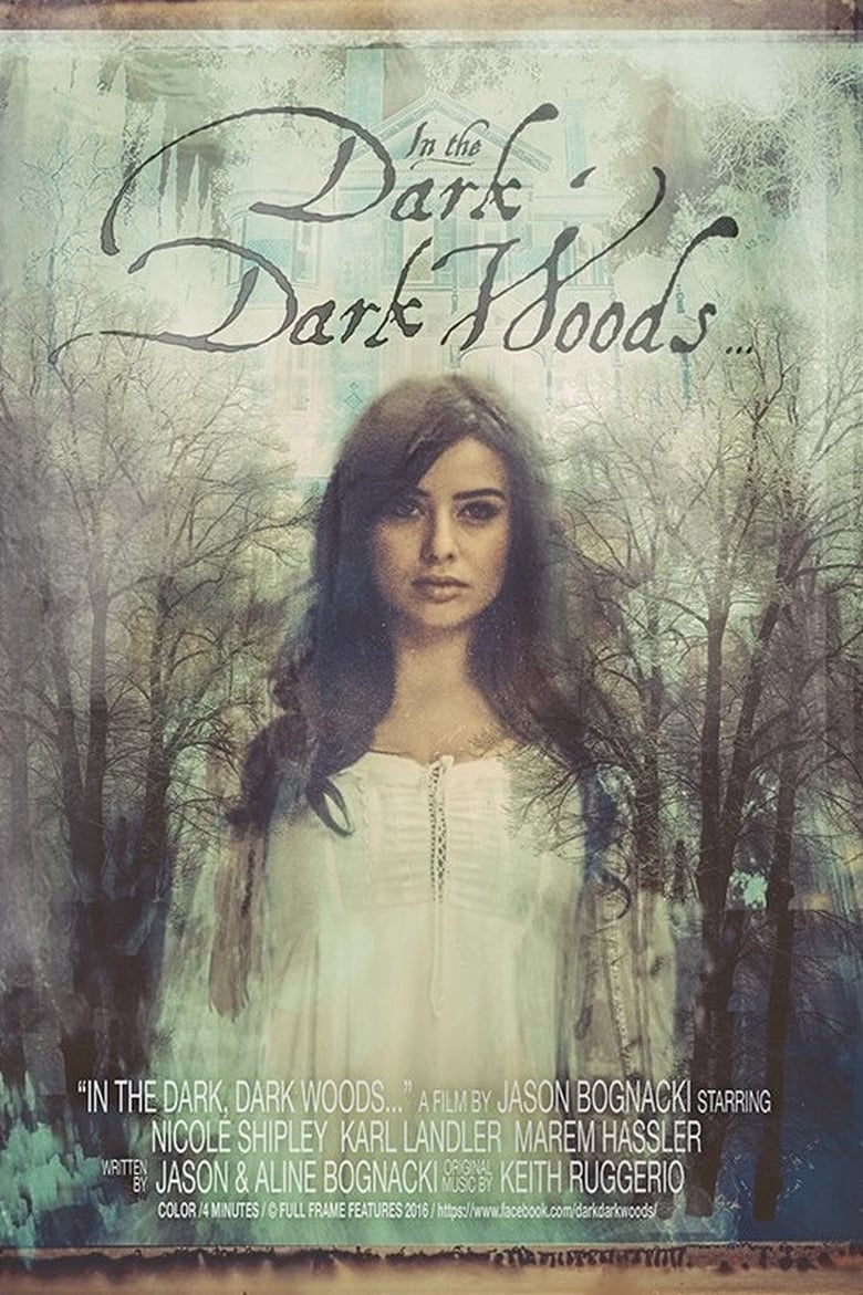 Poster of In the Dark, Dark Woods...