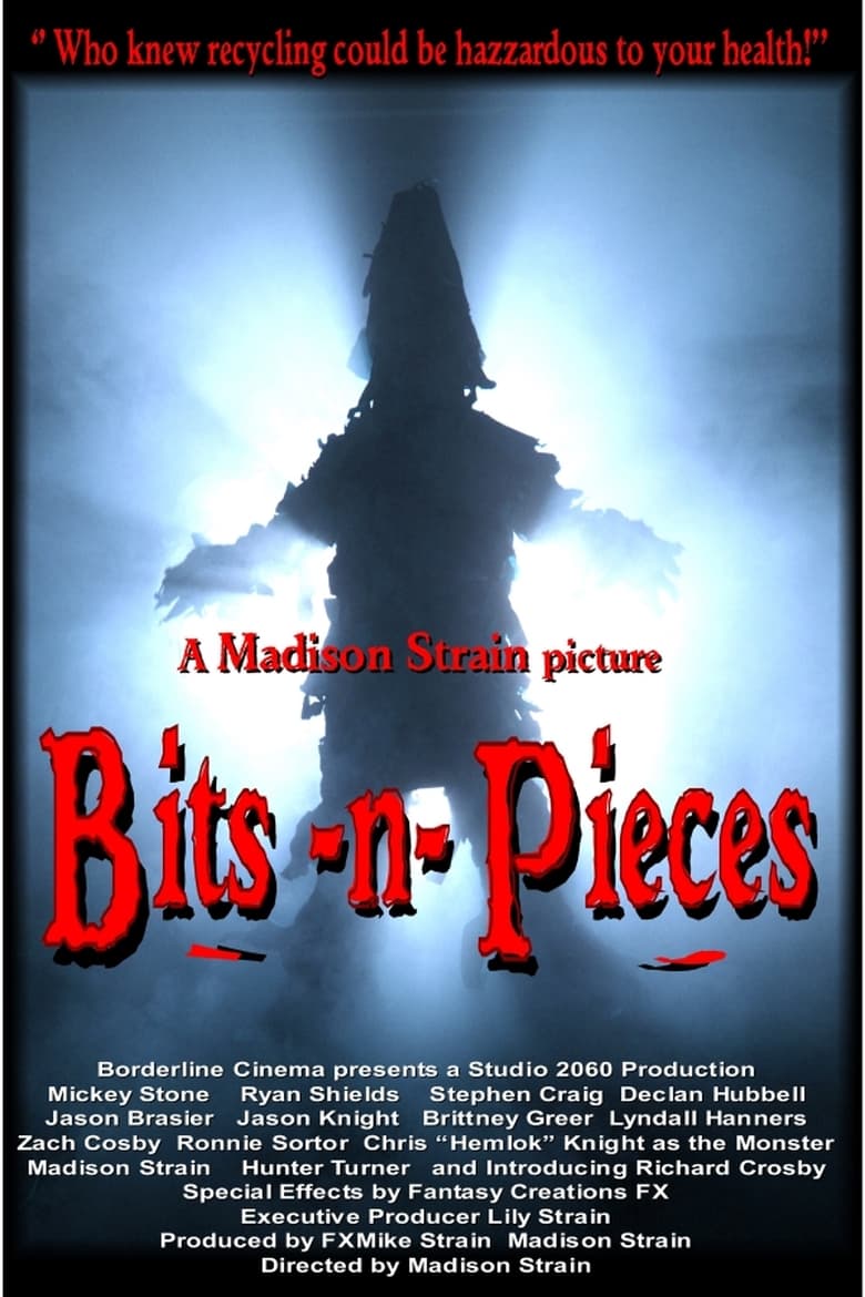 Poster of Bits-n-Pieces