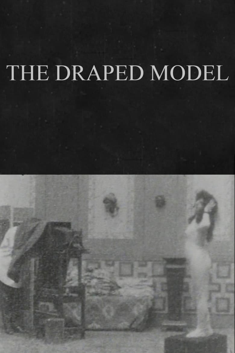 Poster of The Draped Model