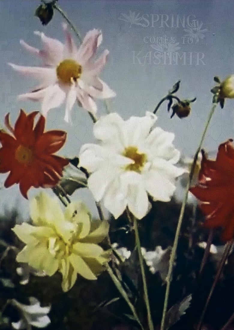 Poster of Spring Comes to Kashmir