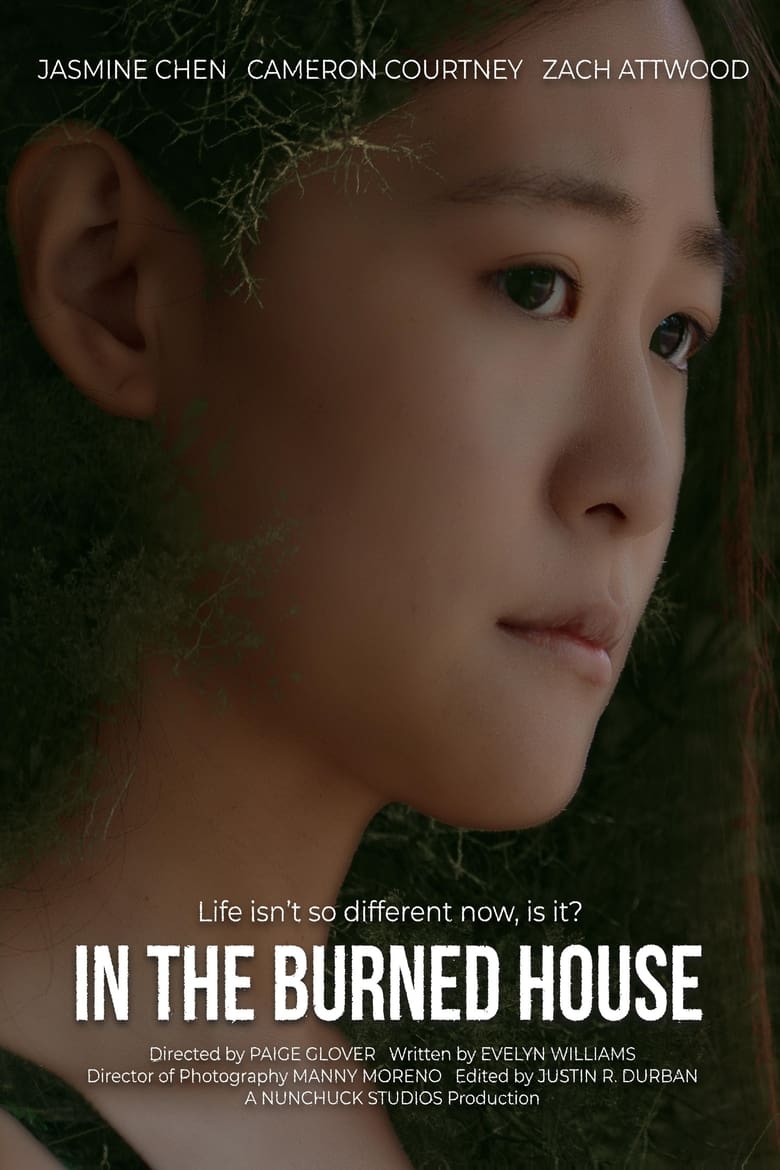 Poster of In the Burned House