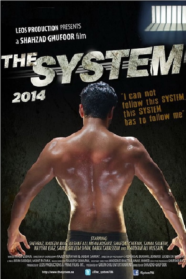 Poster of The System