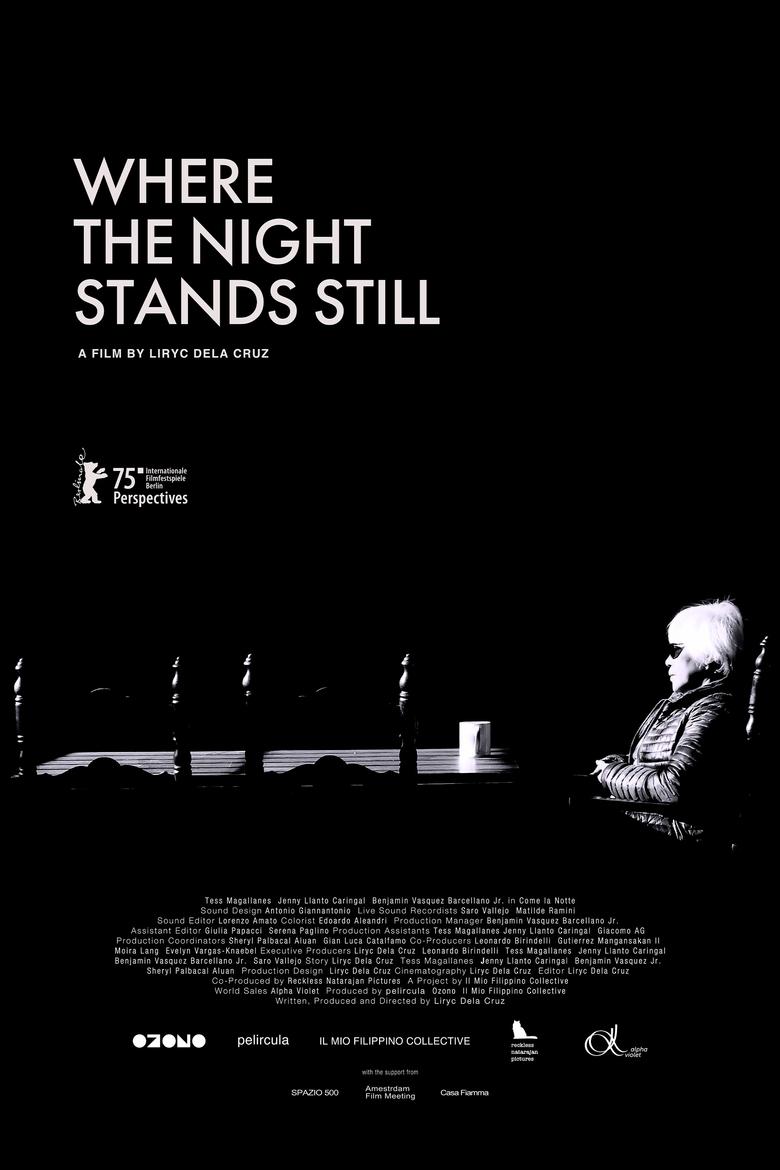 Poster of Where the Night Stands Still