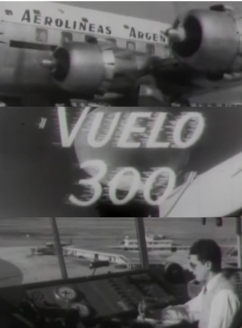 Poster of Vuelo 300