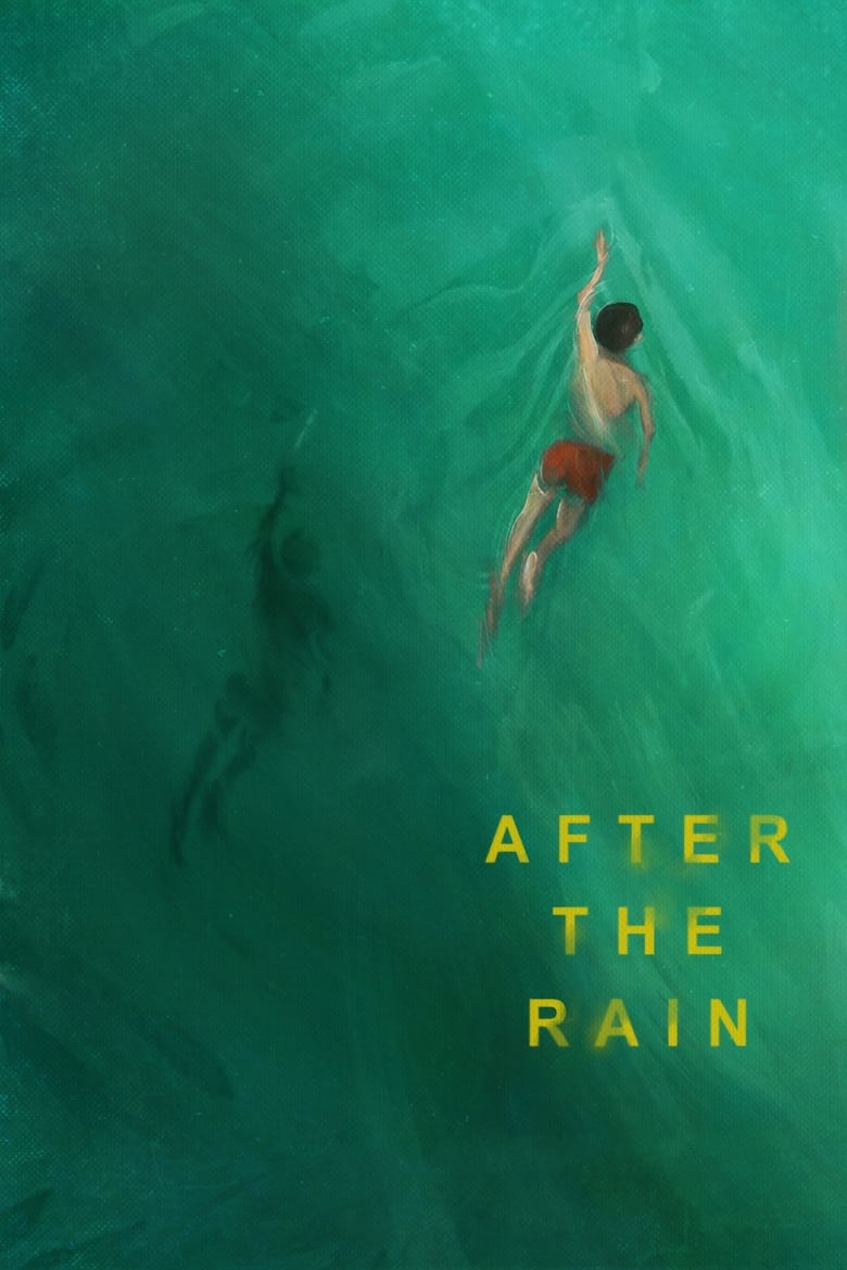 Poster of After the Rain