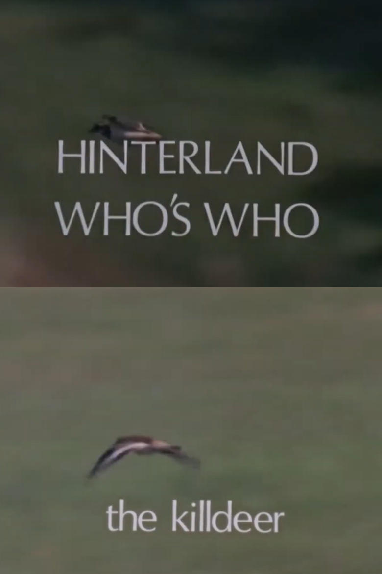 Poster of Hinterland Who's Who: Killdeer