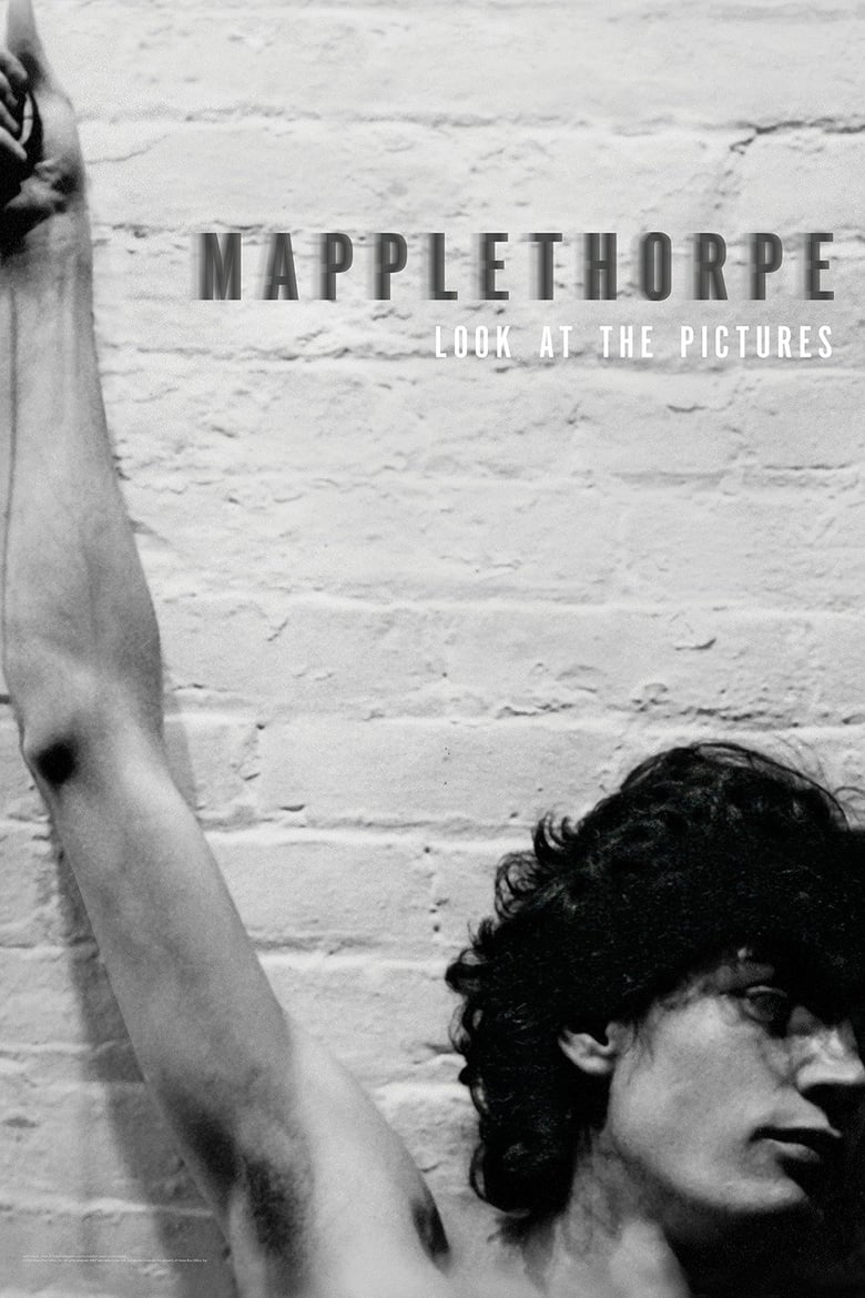 Poster of Mapplethorpe: Look at the Pictures