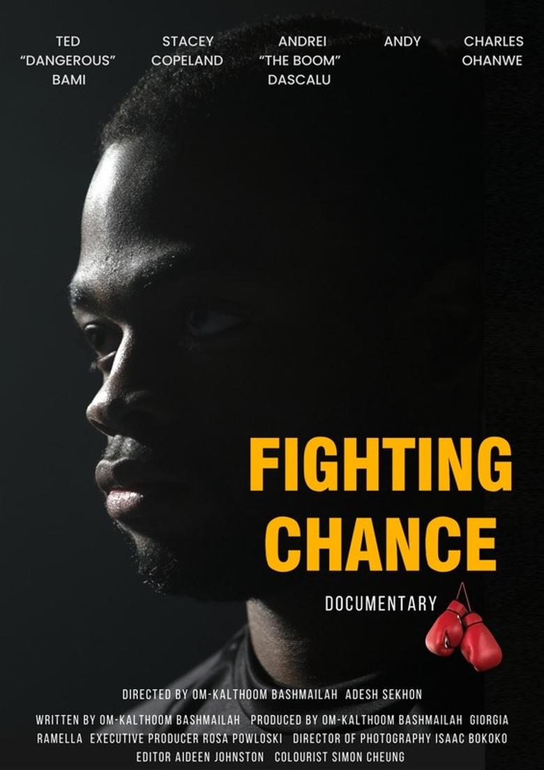 Poster of Fighting Chance